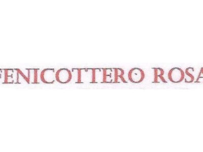 FENICOTTERO ROSA