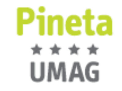 CAMPING PINETA
